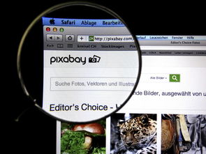 九游体育官网-体育新闻中心发布体育短视频传播效果白皮书，体育短视频成为平台和用户的新宠